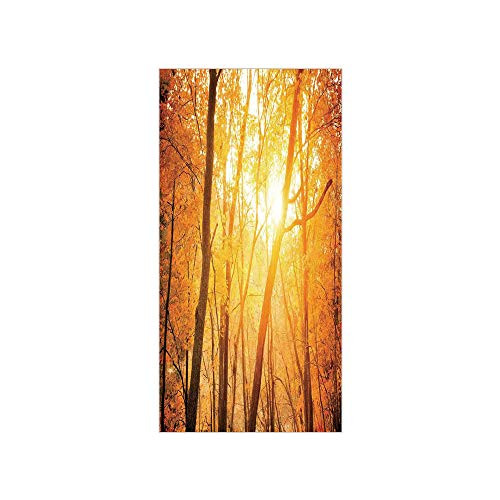 3D Decorative Film Privacy Window Film No Glue,Farm House Decor,Autumn Forest with Branches Sun Beam Woods Monochromic Scenic Nature Picture,Gold Brown,for Home and Office 3D Decorative Film Privacy Window Film No Glue,Farm House Decor,Autumn Forest with Branches Sun Beam Woods Monochromic Scenic Nature Picture,Gold Brown,for Home and Office