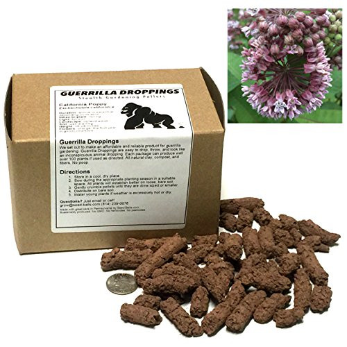 Common Milkweed Guerrilla Droppings - Seed Pellets for Guerrilla Gardening -Asclepias syriaca-