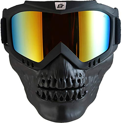 Birdz Eyewear Birdz Skullbird Black Padded ATV Motorcycle Riding Goggle with Face Mask -Red Mirror-, Adult Birdz Eyewear Birdz Skullbird Black Padded ATV Motorcycle Riding Goggle with Face Mask -Red Mirror-, Adult