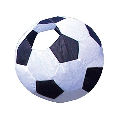 Premier Kites 99508 Soccer Ball Windsock with Wall Mount, 13-Inch