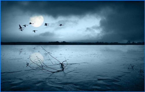 Moon on a Frozen Lake and Flying Geese - Etched Vinyl Stained Glass Film, Static Cling Window Decal Moon on a Frozen Lake and Flying Geese - Etched Vinyl Stained Glass Film, Static Cling Window Decal