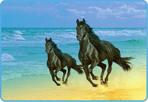 Two Black Horses Running on Beach - Etched Vinyl Stained Glass Film, Static Cling Window Decal Two Black Horses Running on Beach - Etched Vinyl Stained Glass Film, Static Cling Window Decal