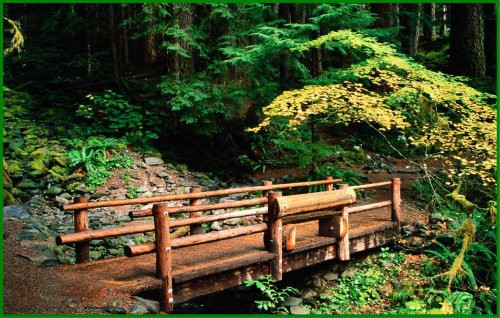 Foot Bridge on a Forest Trail - Etched Vinyl Stained Glass Film, Static Cling Window Decal Foot Bridge on a Forest Trail - Etched Vinyl Stained Glass Film, Static Cling Window Decal