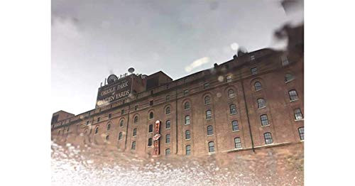 Camden Yards 11x14 Photograph Print- Baltimore/Orioles/Baseball/Sports/Stadium