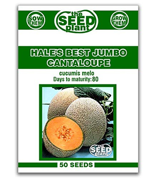 Hale's Best Jumbo Cantaloupe Seeds - 50 Seeds Non-GMO Hale's Best Jumbo Cantaloupe Seeds - 50 Seeds Non-GMO