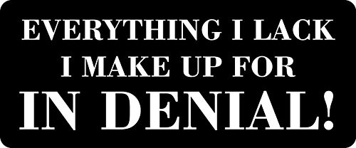 1080 Graphics 3 - Everything I Lack I Make Up for in Denial Hard Hat/Biker Helmet Sticker BS 774