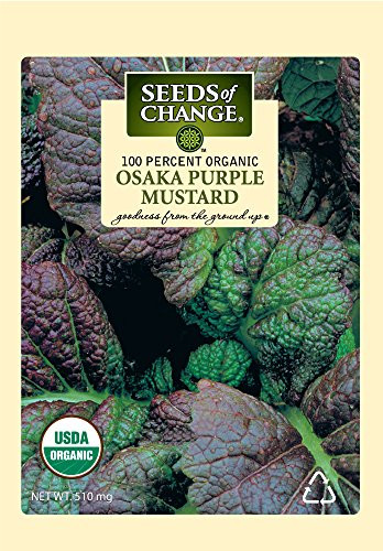 Seeds of Change S10658 Mustard- Purple