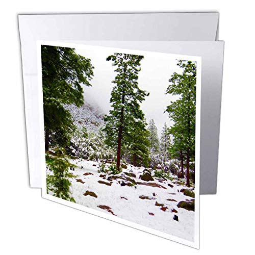3dRose Greeting Card Snow on The Pines in The Dixie National Forest of Utah- 6 x 6inch -gc_263370_5-