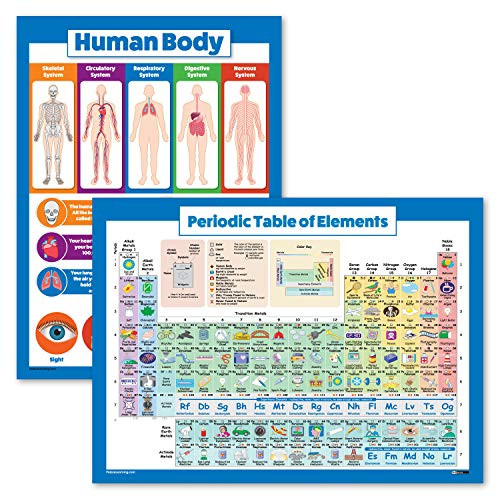 2 Pack - Periodic Table of The Elements Poster for Kids  and  Understanding The Human Body Chart -Laminated- 18inch x 24inch-