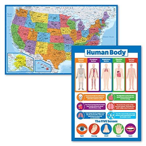 2 Pack - USA Map Poster -Blue Ocean-  and  Understanding The Human Body Chart for Kids -Laminated- 18inch x 29inch-