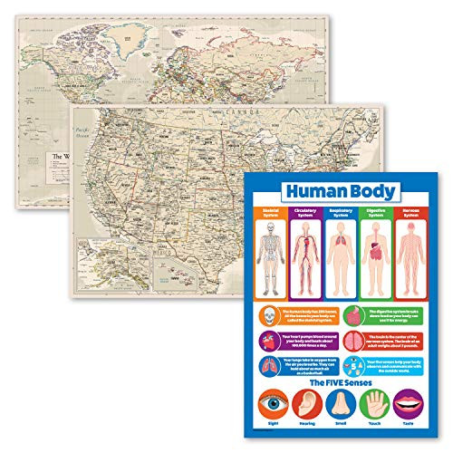 3 Pack - Antique Style World  and  USA Map Poster Set Plus Understanding The Human Body Chart for Kids -Laminated- 18inch x 29inch-