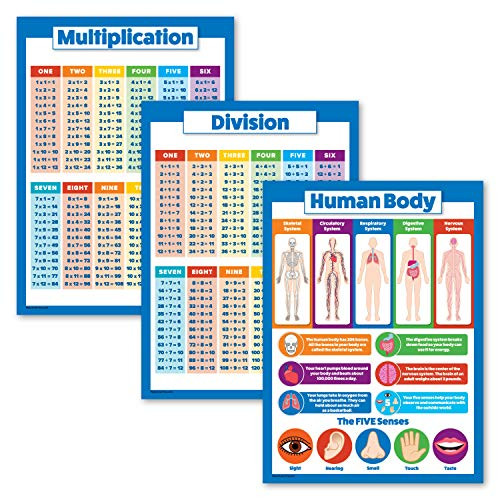 3 Pack - Multiplication Tables Poster Plus Division Plus Human Body Chart for Kids -Laminated- 18inch x 24inch-