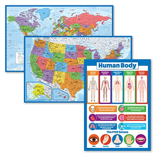 3 Pack - World  and  USA Map Poster Set -Blue Ocean- Plus Understanding The Human Body Chart for Kids -Laminated- 18inch x 29inch-