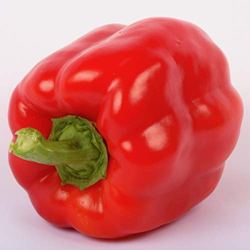 Wayland Chiles Sweet Bell Pepper -King of The North-