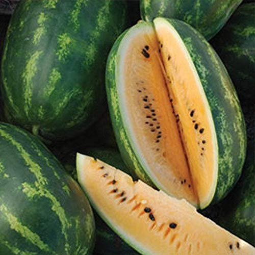 Tendersweet Orange' Watermelon - Sweet Orange Flesh...Mmmmmmm..Good-10 - Seeds-