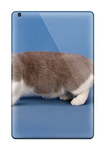 Uxcell 25mm x 25mm PVC Slip to 1/2inch Brass Thread Pipe Female Tee Coupler Adapter