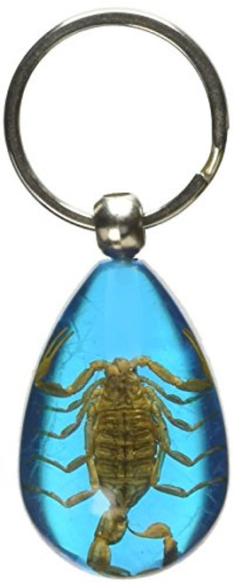 Real Genuine Black Scorpion in Blue Lucite Key Chain 2 Sided Real Genuine Black Scorpion in Blue Lucite Key Chain 2 Sided