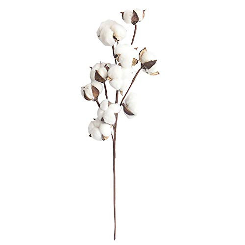 loinhgeo-Beautiful Vivid Color Decor-1Pc Dried Fake Cotton Flower Artificial Plant Floral Branch Stage Home Decor