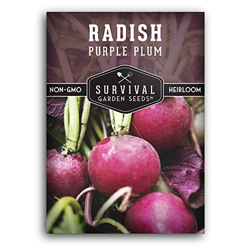 Survival Garden Seeds - Purple Plum Radish Seed for Planting - Packet with Instructions to Plant and Grow in Your Home Vegetable Garden - Non-GMO Heirloom Variety