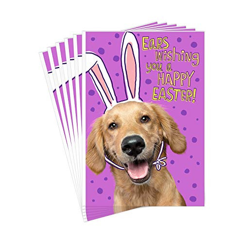 Hallmark Pack of Easter Cards for Kids- Dog in Bunny Ears -6 Cards with Envelopes-