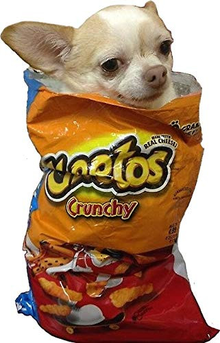 Cheeto Dog - Dye Cut Sticker Vinyl Decal - Just Peel off and Stick