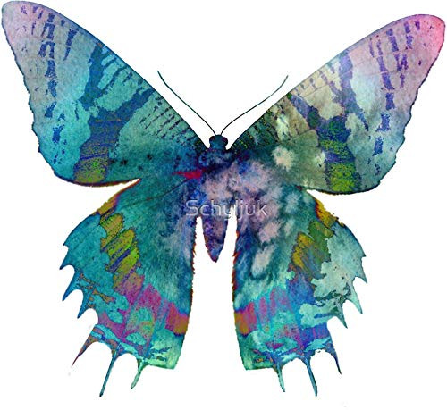 Butterfly - Dye Cut Sticker Vinyl Decal - Just Peel off and Stick