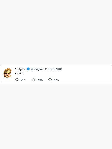 Cody Ko 'im Sad' Tweet Sticker - Dye Cut Sticker Vinyl Decal - Just Peel off and Stick