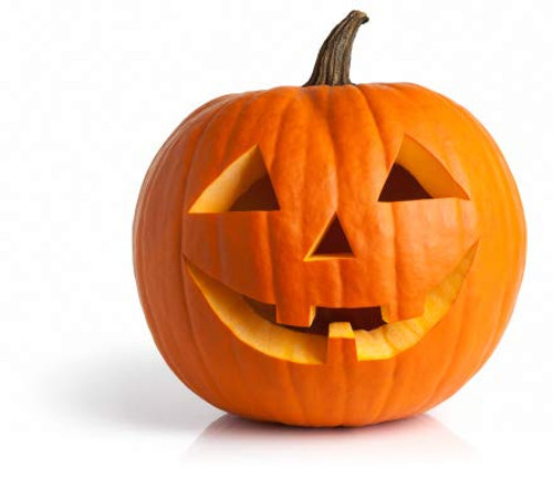 Jack O' Lantern Pumpkin Seeds for Planting | 20Plus Seeds | Grow Pumpkins Perfect for Jack O' Lanterns - Jack O' Lantern Pumpkin Seeds for Planting | 20Plus Seeds | Grow Pumpkins Perfect for Jack O' Lanterns -