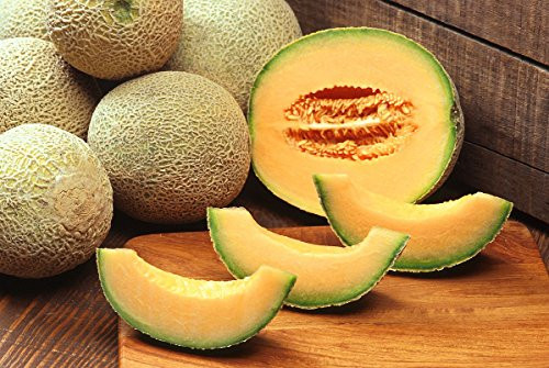 25 Seeds Cantaloupe Honey Dew Orange Garden Seeds Non-GMO 25 Seeds Cantaloupe Honey Dew Orange Garden Seeds Non-GMO