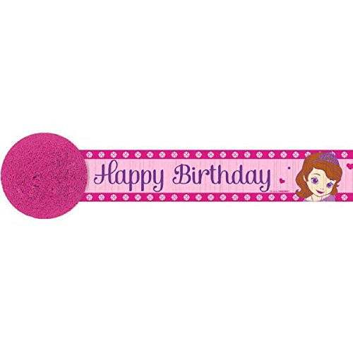 Disney Sofia The First Princess Birthday Streamer Party Decoration -1 Piece-- Pink/Purple- 30Feet.