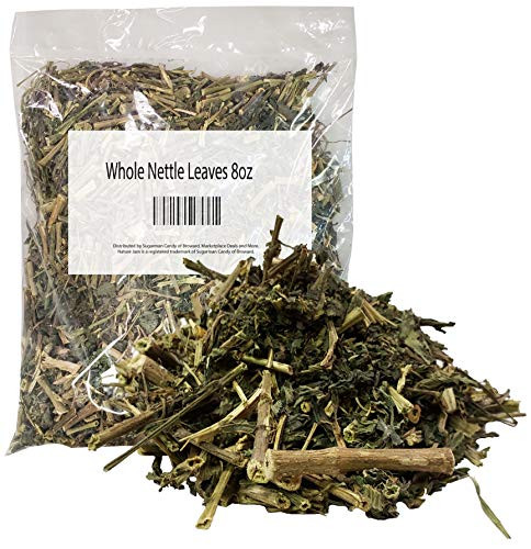 Nettle Leaf With Sticks/Branches aka Urtica Dioica 1/2 Pound-Stinging Nettle 8 OZ