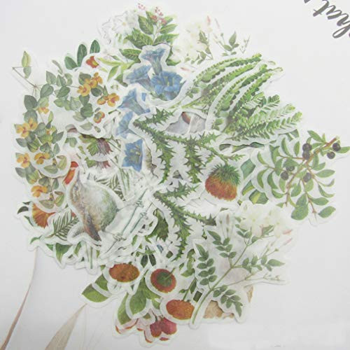 Flower and Birds Stickers- 60pcs Vintage Decorative Decals Adhesive Sticker for Scrapbooking- Kid DIY Art Crafts- Album- Bullet Journaling- Junk Journal- Planners- Laptop and Calendars Flower and Birds Stickers- 60pcs Vintage Decorative Decals Adhesive Sticker for Scrapbooking- Kid DIY Art Crafts- Album- Bullet Journaling- Junk Journal- Planners- Laptop and Calendars