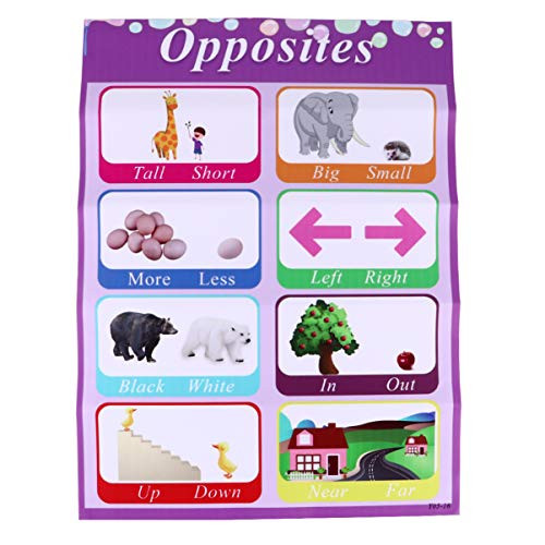 NUOBESTY Kid Educational Preschool Poster English Learning Poster Preschool Classroom Charts Wall Sticker for Kindergarten Nursery Learning 30x40CM