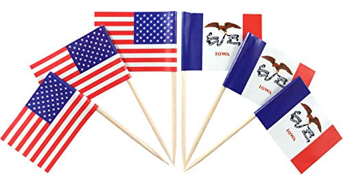 JBCD 200 Pcs American and Iowa Flag Toothpicks Iowa State Flags Cupcake Toppers Decoration- Cocktail Toothpick Flag USA Cake Topper Picks Mini Small Flag Cupcake Pick Sticks
