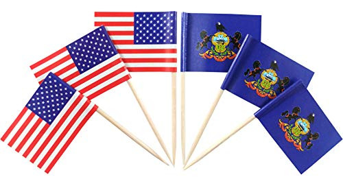 JBCD 200 Pcs American and Pennsylvania Flag Toothpicks Pennsylvania State Flags Cupcake Toppers Decoration- Cocktail Toothpick Flag USA Cake Topper Picks Mini Small Flag Cupcake Pick Sticks
