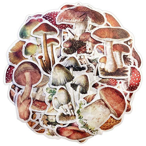 Mushroom Washi Planner Sticker- Decorative Adhesive Sticker- Craft Scrapbooking Sticker Set for Diary- Album- Notebook- Bullet Journal- 60 PCS