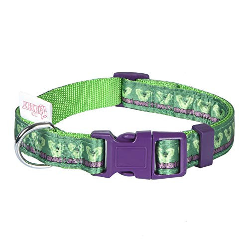 Marvel Comics The Hulk Dog Collar- Medium Green  and  Purple | Officially Licensed Marvel The Incredible Hulk Dog Collar | Medium Dog Collar for Medium Dogs with D-Ring- Cute Dog Apparel  and  Accessories