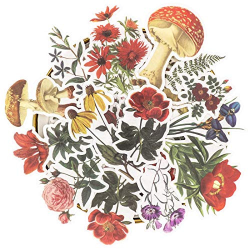 Knaid Vintage Flower Large Sticker Set -60 Pieces- Decorative Botanical Washi Stickers for Scrapbooking- DIY Art Crafts- Album- Bullet Journaling- Junk Journal Ephemera- Planners- Laptop and Calendars Knaid Vintage Flower Large Sticker Set -60 Pieces- Decorative Botanical Washi Stickers for Scrapbooking- DIY Art Crafts- Album- Bullet Journaling- Junk Journal Ephemera- Planners- Laptop and Calendars