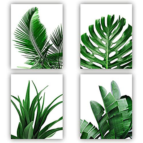 MGahyi Botanical Wall Art Prints- Tropical Leaves Art Print- Tropical Plants Pictures- 4 Pieces Plant Leaf Posters- Minimalist Green Leaf Wall Decor Unframed-8inchx10inch MGahyi Botanical Wall Art Prints- Tropical Leaves Art Print- Tropical Plants Pictures- 4 Pieces Plant Leaf Posters- Minimalist Green Leaf Wall Decor Unframed-8inchx10inch