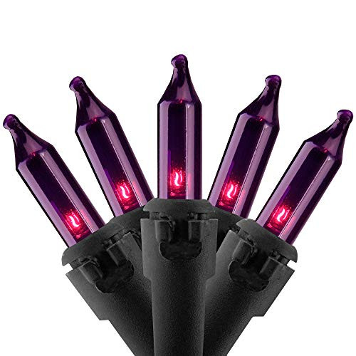 Northlight 35-Count Purple Mini Christmas Lights- 7ft Black Wire