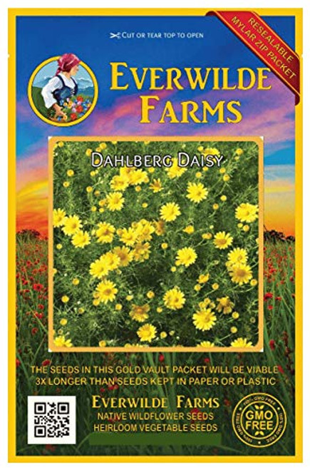 Everwilde Farms - 2000 Dahlberg Daisy Native Wildflower Seeds - Gold Vault Jumbo Seed Packet