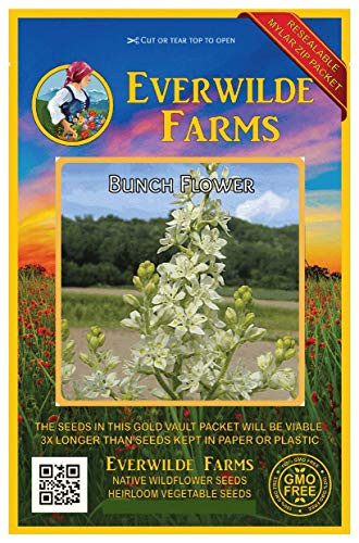 Everwilde Farms - 100 Bunch Flower Native Wildflower Seeds - Gold Vault Jumbo Seed Packet