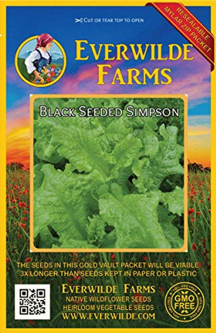 Everwilde Farms - 1000 Black Seeded Simpson Lettuce Seeds - Gold Vault Jumbo Seed Packet