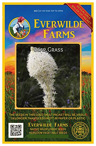 Everwilde Farms - 100 Bear Grass Native Wildflower Seeds - Gold Vault Jumbo Seed Packet