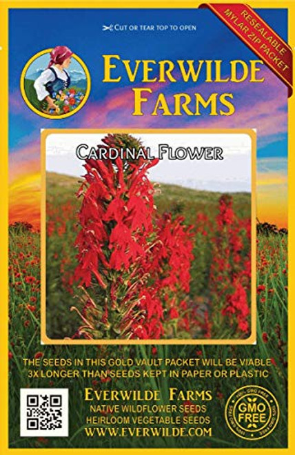 Everwilde Farms - 2000 Cardinal Flower Native Wildflower Seeds - Gold Vault Jumbo Seed Packet