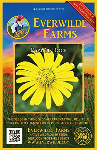 Everwilde Farms - 15 Prairie Dock Native Wildflower Seeds - Gold Vault Jumbo Seed Packet