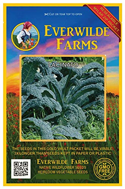 Everwilde Farms - 500 Lacinato Kale Seeds - Gold Vault Jumbo Seed Packet