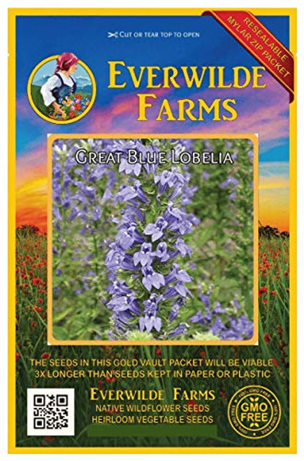 Everwilde Farms - 2000 Great Blue Lobelia Native Wildflower Seeds - Gold Vault Jumbo Seed Packet