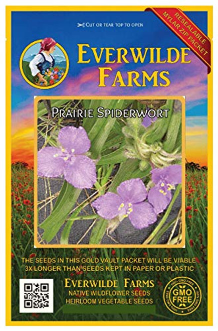 Everwilde Farms - 200 Prairie Spiderwort Native Wildflower Seeds - Gold Vault Jumbo Seed Packet