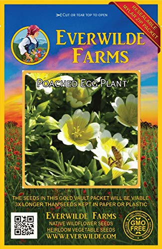 Everwilde Farms - 100 Poached Egg Plant Native Wildflower Seeds - Gold Vault Jumbo Seed Packet